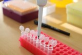 Фото: Белорусские генетики помогают определить причины бесплодия и невынашивания беременности Фото: Белорусские генетики помогают определить причины бесплодия и невынашивания беременности