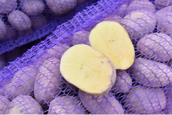 Фото: Какую картошку лучше не есть, даже если выбрасывать жалко: совет эколога