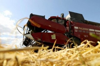 Фото: Зерновые и зернобобовые в Беларуси убраны на 87% площади