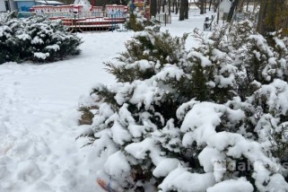 Фото: До -17°С, кратковременный снег и гололедица. Синоптики о погоде на 5-10 декабря