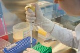 Фото: Правительство утвердило новый порядок предоставления бесплатных попыток ЭКО