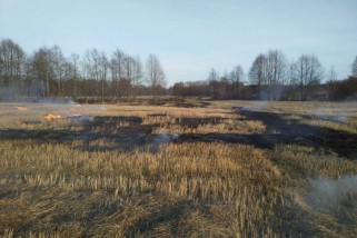 Фото: По Гродненской области зарегистрировано уже 46 загораний сухой растительности 