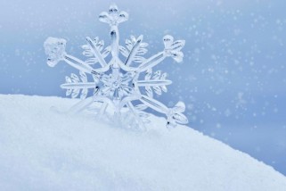 Фото: До -23°С и небольшой снег прогнозируют в Беларуси 11 января