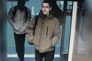 Фото: В Гродно в лесном массиве нашли тело пропавшего подростка