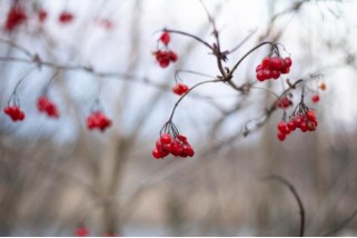 Фото: Народные приметы на 17 ноября 2025 года: что нельзя делать в день Еремы