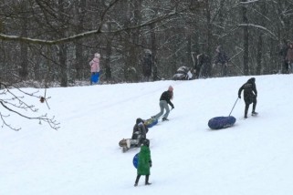 Фото: Как избежать травм при катании на тюбингах?