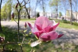 Фото: Оранжевый уровень опасности из-за жары объявлен в Беларуси 6 мая