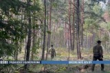 Фото: Грибник, которого под Гродно искали несколько дней, погиб