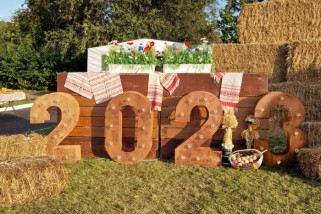 Фото: "Дажынкі-2023": программа фестиваля-ярмарки тружеников села в Зельве