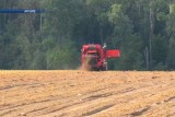 Фото: На Лидчине уборка зерновых и зернобобовых культур полностью завершена