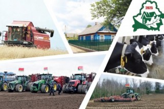 Фото: ПОРЯДОК на земле: и в городе, и на селе