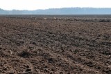 Фото: В Беларуси расширяют действие земельной амнистии: новые правила вступили в силу Фото: В Беларуси расширяют действие земельной амнистии: новые правила вступили в силу