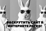 Фото: Как продвинуть сайт в Гродно? Фото: Как продвинуть сайт в Гродно?