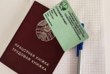 Фото: Что должен сделать наниматель при приеме на работу молодого специалиста, рассказали в Минтруда
