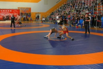 Фото: В Лиде состоялось торжественное открытие первенства Республики Беларусь по борьбе греко-римской среди юниоров