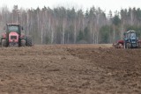 Фото: В третье воскресенье ноября в Беларуси отмечается День работников сельского хозяйства и перерабатывающей промышленности АПК