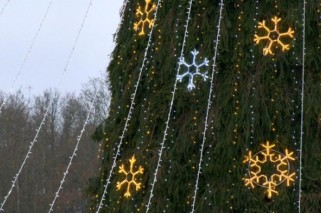 Фото: В Лиде приступили к оформлению главной городской ёлки