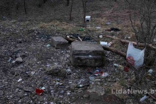 Фото: Когда лесной уголок вблизи ул. Тухачевского вздохнет от мусора