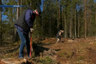 Фото: С 17 по 24 октября в нашей стране пройдёт республиканская акция «Дай лесу новае жыццё!»