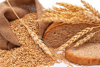 Фото: Свое зерно – свой хлеб