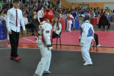 Фото: В Лиде прошел открытый турнир по таэквондо «Кубок Лидского замка - 2026»