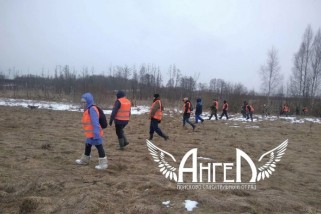 Фото: «Ангелы» среди нас. Как волонтеры из Лиды спасают людей, когда надежды почти нет