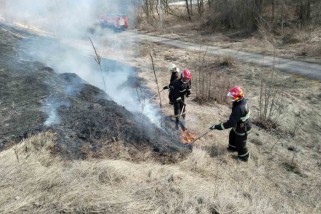 Фото: Произошло загорание сухой растительности вблизи деревни Огородники 