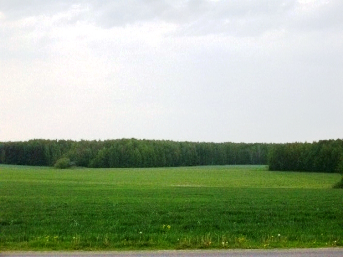 IMGP6745