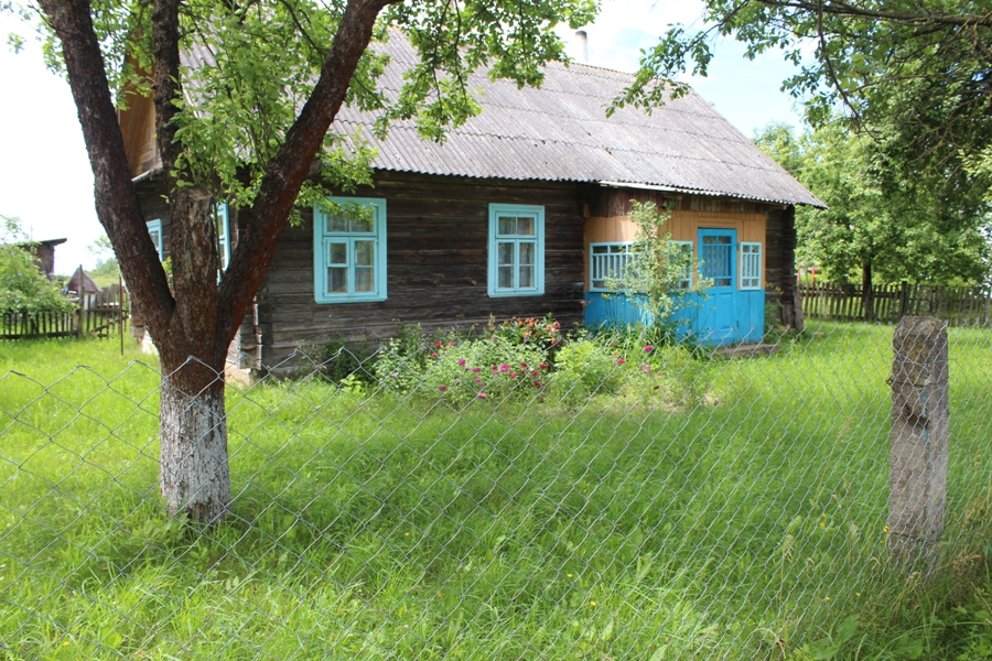 Зеленая гомельская область