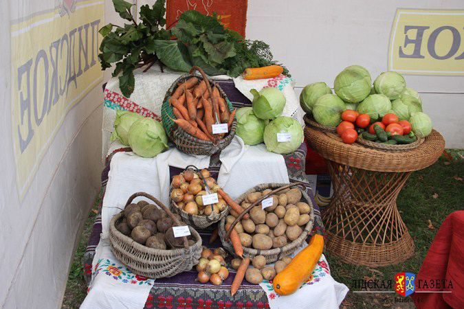 <p style="text-align: center;"><img src="/images/2015/10/yarm/31.JPG" width="450" height="300" alt="31"