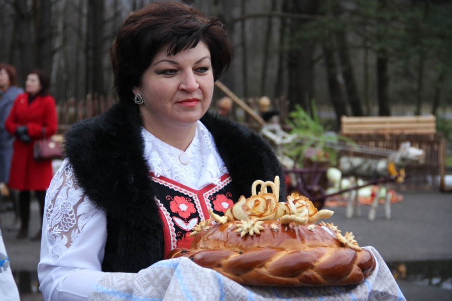 дожинки область