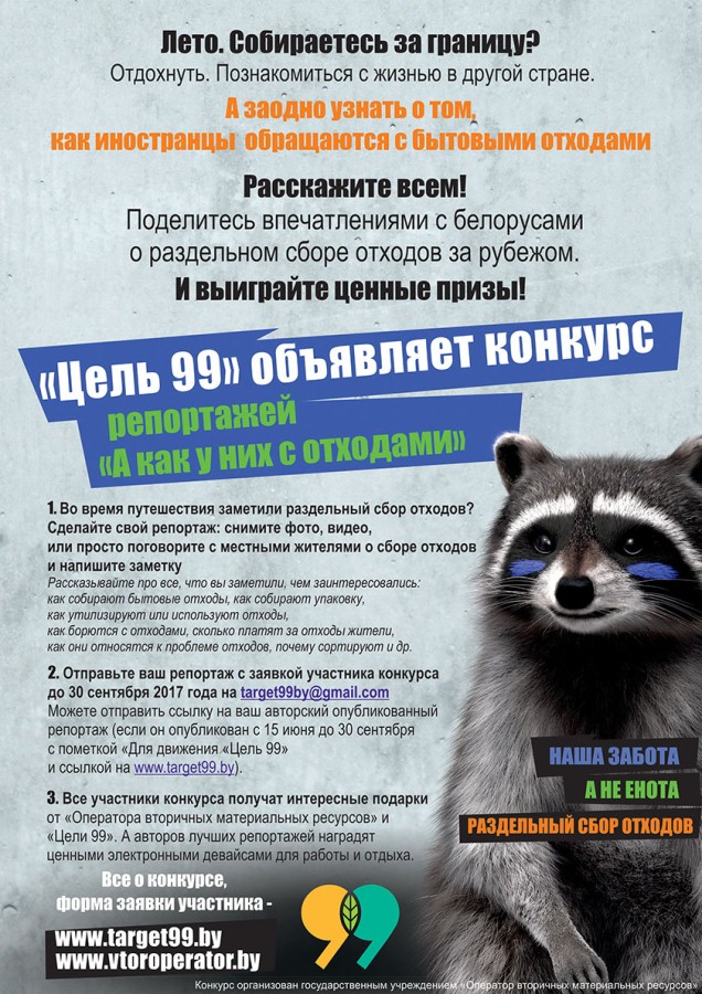 плакат енот