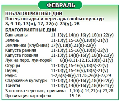 Лунный календарь на 2024 год: выбираем дни для рассады, красоты и важных дел