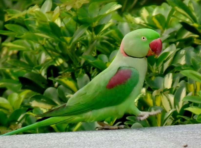 Ең ұзын мүшесімен бірінші рет ауыратын жыныстық қатынас Порно фото фистинг, үлкен письки, трахается